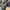 NEW BALANCE 1906R WHITE GOLD , NEW BALANCE 1906 R WHITE GOLD photo 4