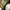 NEW BALANCE 1906R WHITE GOLD , NEW BALANCE 1906 R WHITE GOLD photo 6