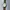 Seiko Vintage Casual Pria silver white photo 1