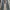 Levi’s 501 Light Blue Jeans  photo 5