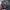 Oakley bagpack 00s Pilot Factory photo 6