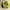 Jacket Windbreaker Nepa photo 5