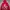 Hoodie Mangoog Pria red photo 1