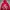 Hoodie Mangoog Pria Red
