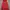 Hoodie pria y2k photo 1
