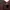 DASI LUXURY FLAMBOYANT ORIGINAL photo 8