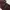 DASI LUXURY FLAMBOYANT ORIGINAL photo 7