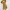 Zara Coquette Minimalist Babydoll dress Wanita gold tan photo 2