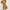 Zara Coquette Minimalist Babydoll Dress Wanita Gold Tan