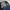 Levis 501 Dark Blue Jeans photo 6