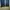 Levis 501 Dark Blue Jeans photo 7
