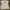 Polo Shirt HUSH PUPPIES NEW