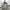 Oakley Streetwear Casual Capes & poncho Pria gray photo 3