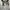 Oakley Streetwear Casual Capes & poncho Pria gray photo 4