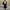 Uniqlo Casual Pleated skirt Wanita black photo 2