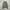 JW Anderson Casual Skirt Wanita multicolor photo 6
