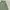 JW Anderson Casual Skirt Wanita multicolor photo 4