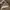 Coach Minimalist Crossbody Bag Wanita white photo 5