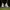 NIKE AIR MAX PLUS TN LACOSTE WHITE GREEN photo 2