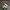 NIKE AIR MAX PLUS TN LACOSTE WHITE GREEN photo 1
