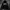 Hoodie Diesel For Successful Living Black photo 1