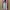 Long Cardigan byArra photo 2