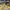 LOUIS VUITTON TRAINERS WHITE YELLOW VELCRO , LOUIS VUITTON W photo 3