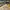 LOUIS VUITTON TRAINERS WHITE YELLOW VELCRO , LOUIS VUITTON W photo 1