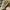 LOUIS VUITTON TRAINERS WHITE YELLOW VELCRO , LOUIS VUITTON W photo 6