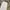Denim One Tuck Baggy Pants Slow Archive light gray photo 4
