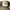Vintage Hat Pria cream black photo 3