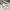 Denim Straight Fit Pants 8seconds white photo 5