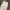Denim Straight Fit Pants 8seconds white photo 3