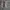 Abercrombie & Fitch Vintage Y2K Harrington jacket Pria gray photo 2