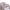 Crocodile Minimalist Casual Sweatshirt Wanita tan photo 4