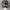Spartans Realtree Camo photo 2