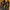Nike Vomero 5 Bred photo 4