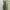 Green Vintage Jumpsuit Dress Teens photo 2