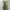 Green Vintage Jumpsuit Dress Teens