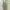 Green Vintage Jumpsuit Dress Teens photo 1