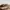 Good Day Streetwear Formal pants Pria cream tan photo 4