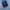 Adidas Superstar Collagiate Royal  Original  photo 5