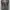 Adidas Superstar Black Xeno photo 5