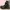 Dr. Martens Streetwear Biker Boots Wanita black photo 4