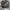 Valley Realtree Camo Ripped photo 4