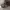 Tona Tec Realtree Camo photo 3