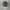 Tona Tec Realtree Camo photo 6