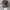 Tona Tec Realtree Camo photo 2