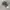 Tona Tec Realtree Camo photo 1