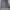 Issey Miyake Futurist Casual Pleated skirt Wanita navy gray photo 2